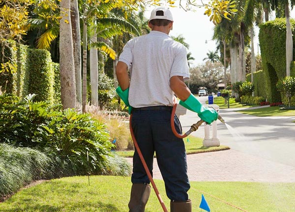 About Manti UT Pest Control Pros